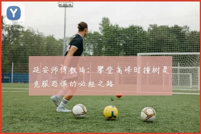 延安师傅教诲：攀登高峰时撞树是克服恐惧的必经之路